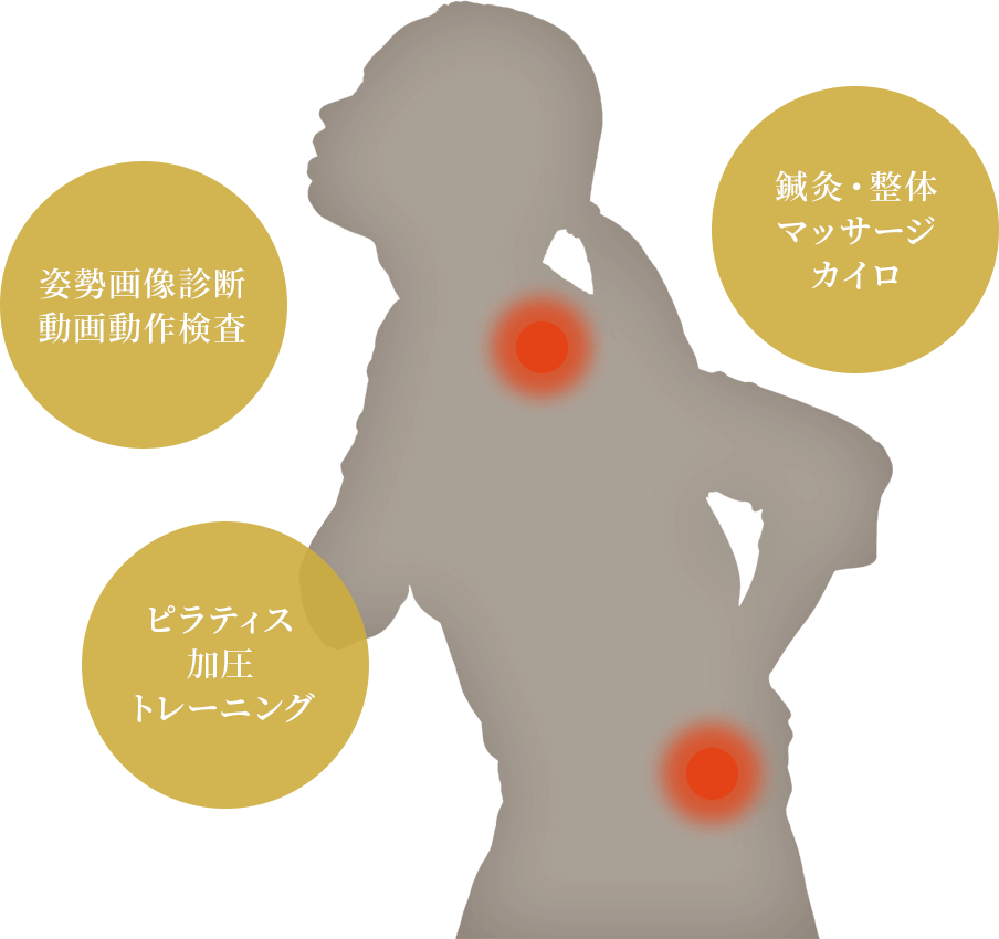 オーダーメード治療